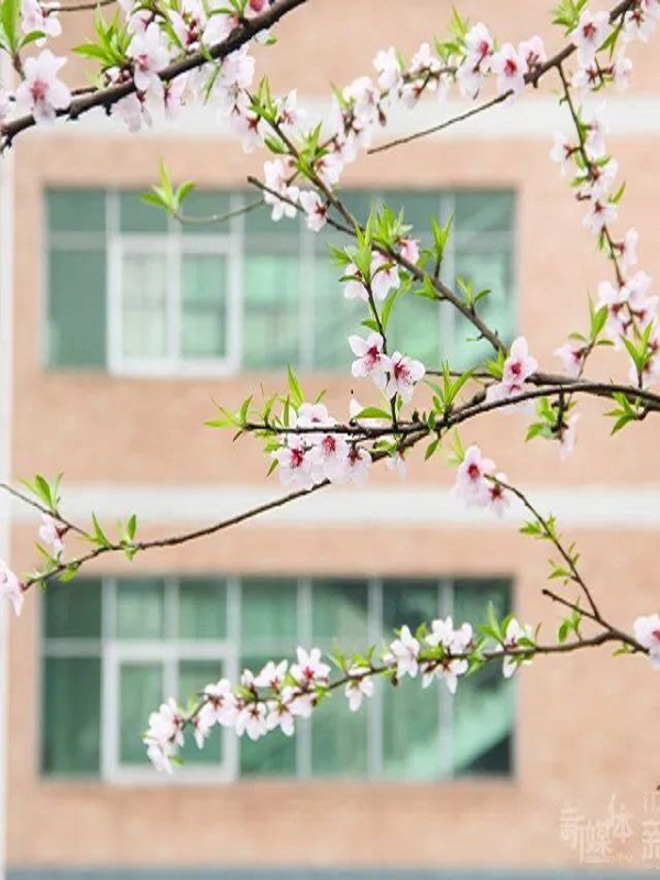 香港澳门六宝典