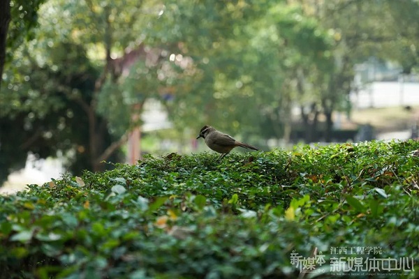 香港澳门六宝典