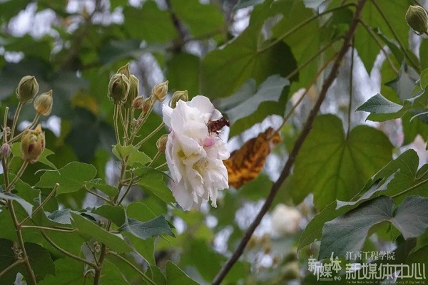 香港澳门六宝典