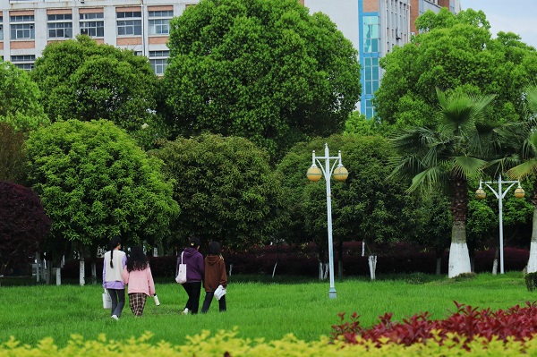 香港澳门六宝典