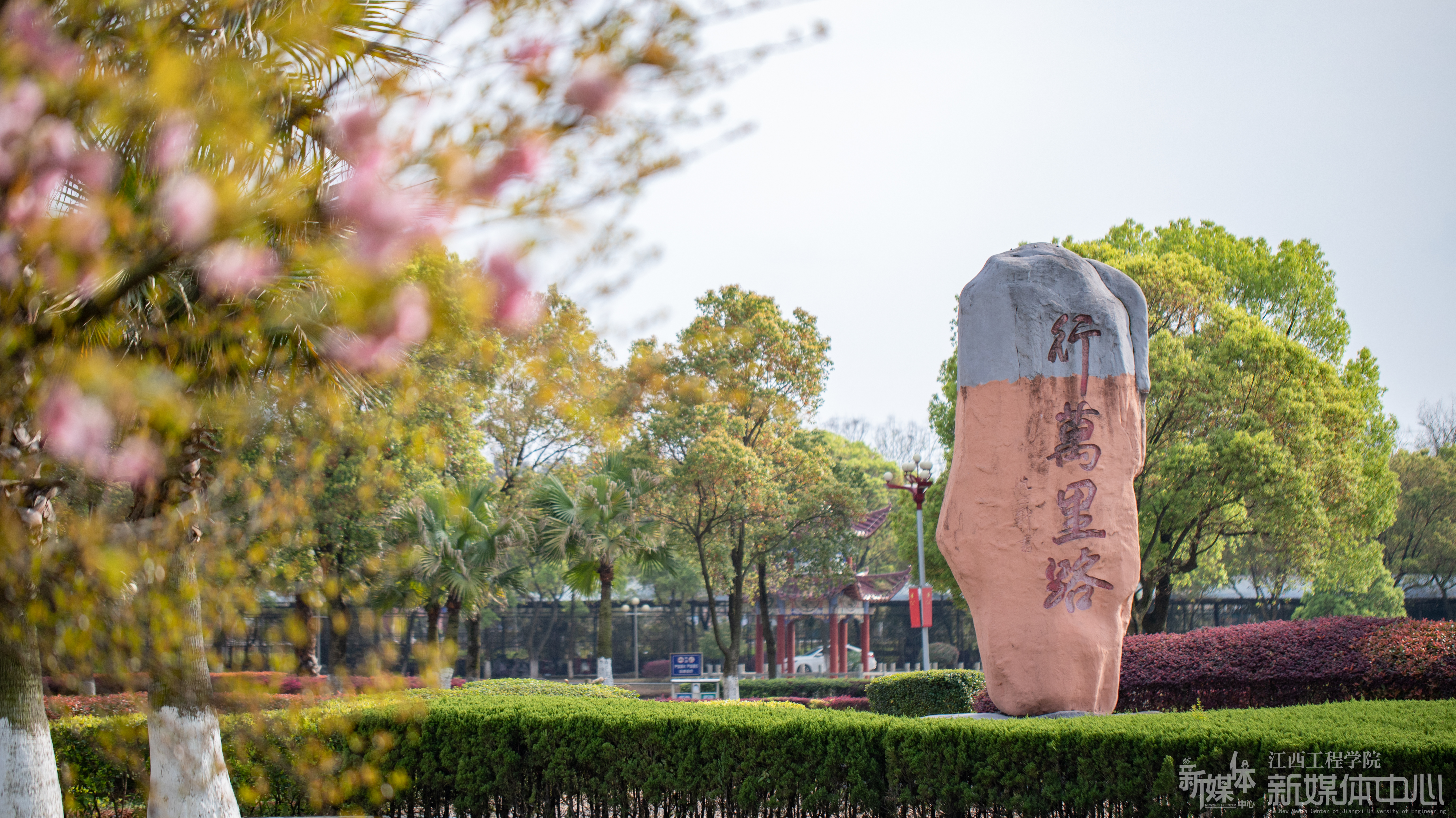 香港澳门六宝典